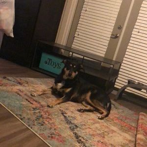 Meet your Posher, Anne